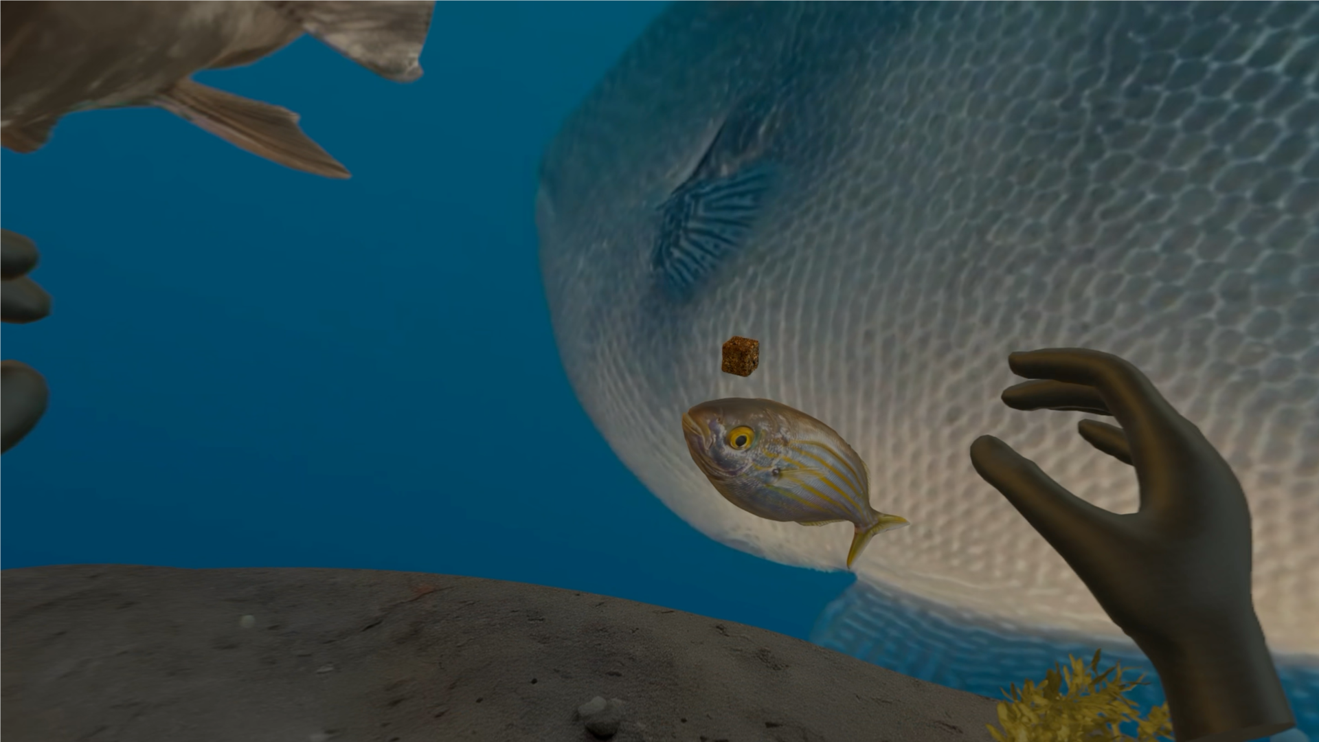 XperimentAR Environment View 3